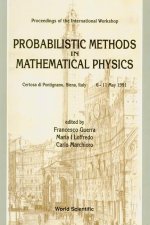 Probabilistic Methods in Mathematical Physics: Proceedings of the International Workshop, Certosa Di Pontignano, Siena, Italy, 6-11 May 1991