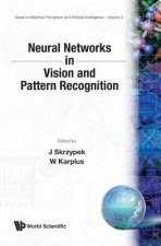 Neural Networks in Vision and Pattern Re