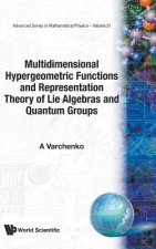 Multidimensional Hypergeometric Functions The Representation Theory Of Lie Algebras And Quantum Groups