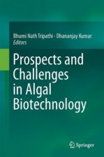 Prospects and Challenges in Algal Biotechnology