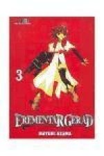 Erementar gerad 03