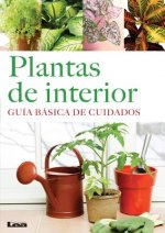 Plantas de Interior: Guia Basica de Cuidados