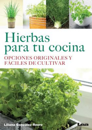 Hierbas Para Tu Cocina: Opciones Originales y Faciles de Cultivar