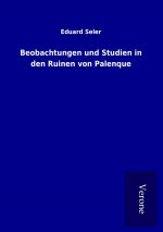 Beobachtungen und Studien in den Ruinen von Palenque