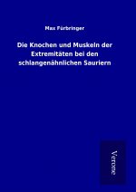 Die Knochen und Muskeln der Extremitäten bei den schlangenähnlichen Sauriern