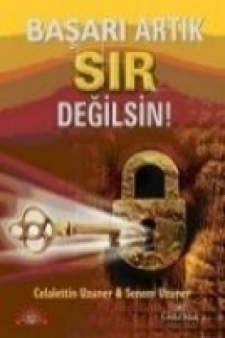 Basari Artik Sir Degilsin