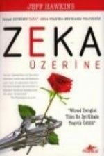 Insan Beyninin Yapay Zeka Yolunda Heyecanli Yolculugu Zeka Üzerine
