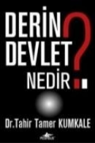 Derin Devlet Nedir