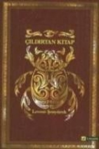Cildirtan Kitap