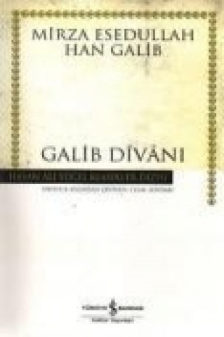 Galib Divani - Hasan Ali Yücel Klasikleri