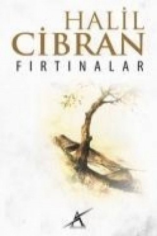 Firtinalar