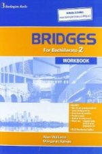 NEW BRIDGES 2§NB WB 09 BURIN2NB