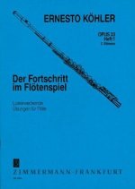 Fortschritt im Flötenspiel 1