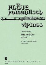 Trio in G-Dur op. 119