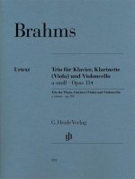 Trio für Klavier, Klarinette (oder Viola) und Violoncello  a-moll op. 114