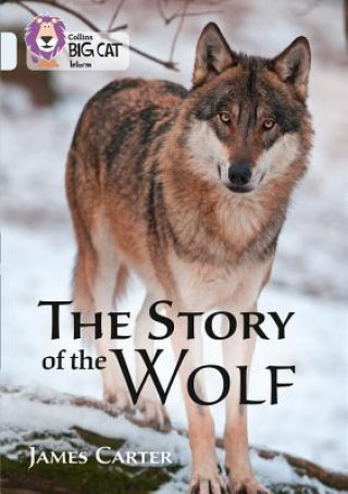 Story of the Wolf