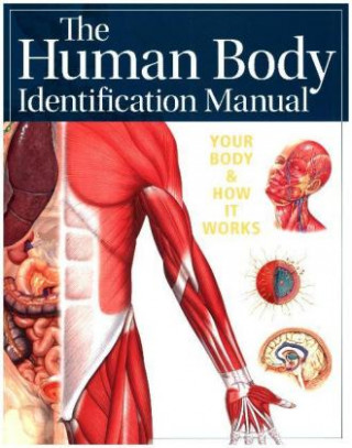 Human Body Identification Manual (Academic Edition)