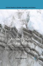 Antarctica as Cultural Critique