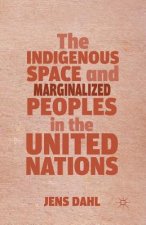 Indigenous Space and Marginalized Peoples in the United Nations