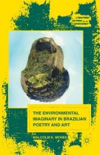 Environmental Imaginary in Brazilian Poetry and Art
