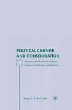 Political Change and Consolidation