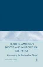 Reading American Novels and Multicultural Aesthetics