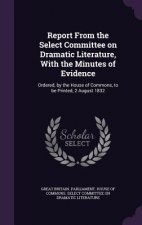 REPORT FROM THE SELECT COMMITTEE ON DRAM