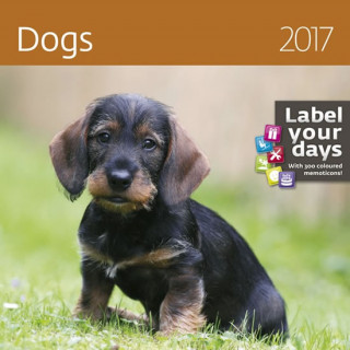 Kalendář nástěnný 2017 - Dogs