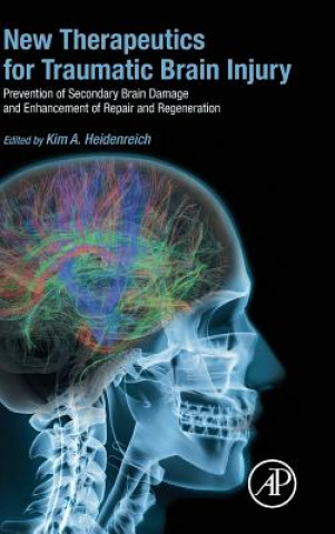 New Therapeutics for Traumatic Brain Injury