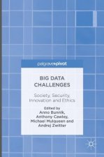 Big Data Challenges