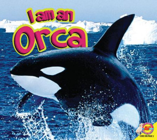 Orca