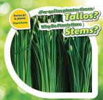 Por Qué Las Plantas Tienen Tallos?/ Why Do Plants Have Stems?