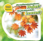 Por Qué Las Plantas Tienen Hojas?/ Why Do Plants Have Leaves?