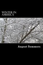 Winter in America