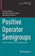 Positive Operator Semigroups