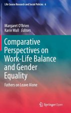 Comparative Perspectives on Work-Life Balance and Gender Equality