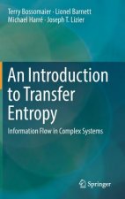 Introduction to Transfer Entropy