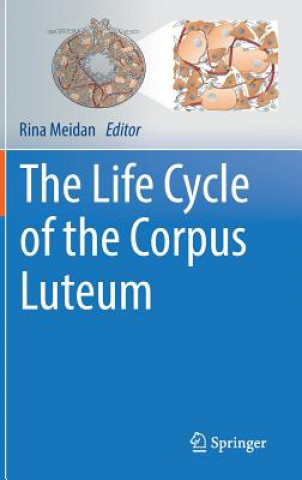Life Cycle of the Corpus Luteum