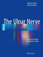 Ulnar Nerve