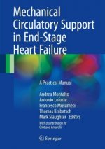 Mechanical Circulatory Support in End-Stage Heart Failure