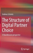 Structure of Digital Partner Choice