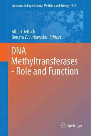 DNA Methyltransferases - Role and Function