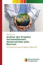 Análise dos Projetos Socioambientais desenvolvidos pelo Banrisul