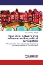 How social network sites influences online political participation