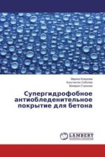 Supergidrofobnoe antiobledenitel'noe pokrytie dlya betona