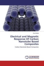 Electrical and Magnetic Response Of Carbon Nanotube Based Composites
