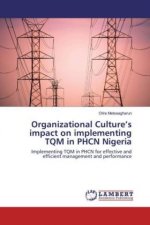 Organizational Culture's impact on implementing TQM in PHCN Nigeria