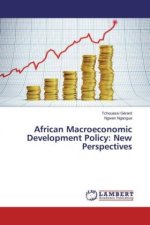 African Macroeconomic Development Policy: New Perspectives