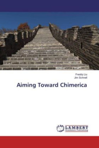 Aiming Toward Chimerica