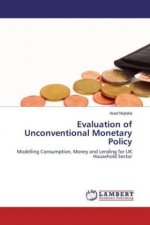 Evaluation of Unconventional Monetary Policy